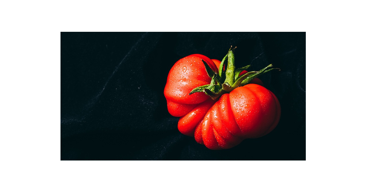 An interview with Ania Elias