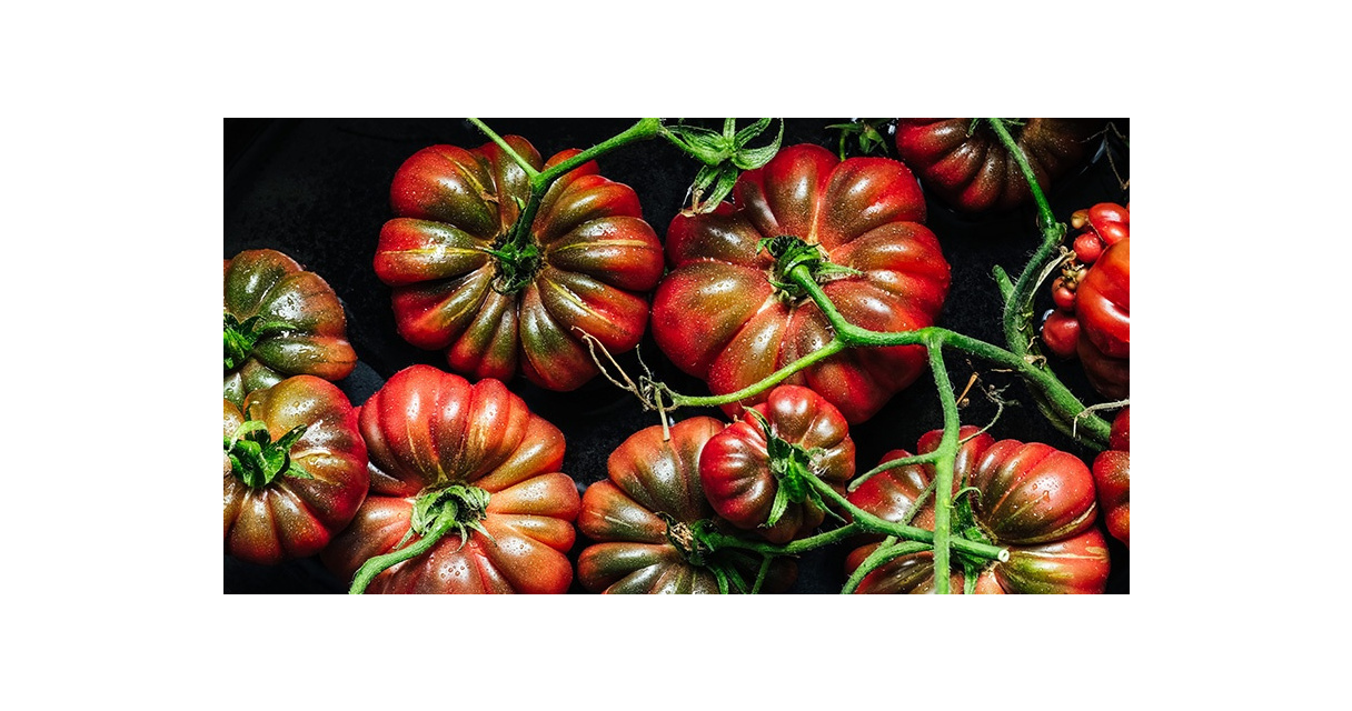 Behind the scenes with Ania Elias