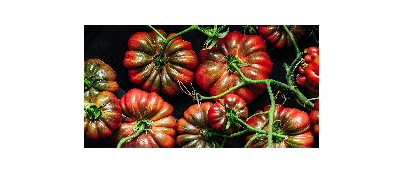 Behind the scenes with Ania Elias