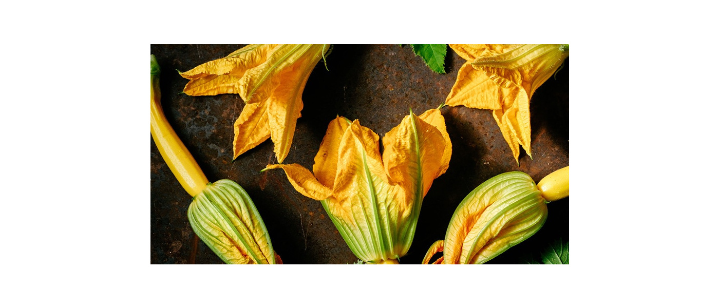 What is creativity for Ania Elias?