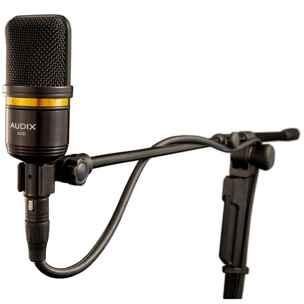 AUDIX Large Diaphragm Condenser Vocal Microphone AX A231