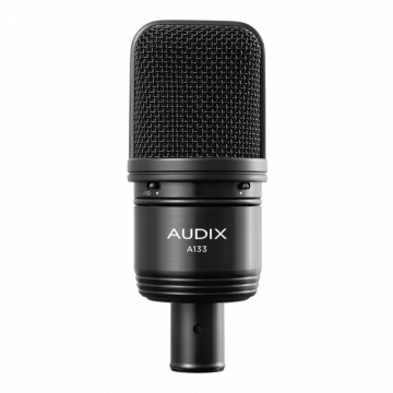 Reliable Wired Microphones for Professional Use