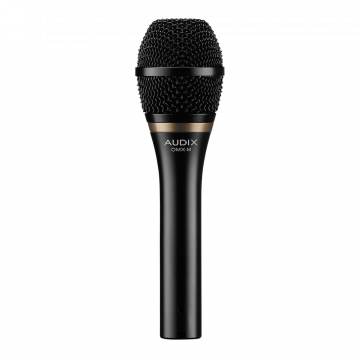 Amazon.com: Audix VX10 Handheld Condenser Microphone