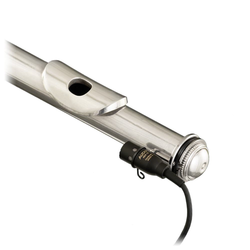 Elite Condenser Vocal Microphone - AX VX10 | Audix Global